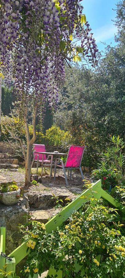 Studio de charme + terrasse : Verdon, lac, plages Claviers Buitenkant foto