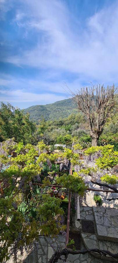 Studio de charme + terrasse : Verdon, lac, plages Claviers Buitenkant foto